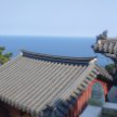 https://thecheat.co.kr/fs_sbl/member/2025/02/11/ea1c213084e9cde585342e81911eea83.png