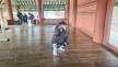 프로필 사진