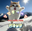 https://thecheat.co.kr/fs_sbl/member/2025/02/17/8cf70ee972c73bf0cce637c24dec2af3.png