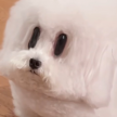 프로필 사진