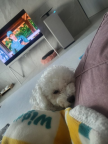 프로필 사진