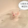 프로필 사진