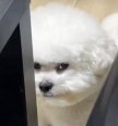 프로필 사진