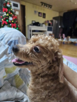 프로필 사진