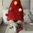 https://thecheat.co.kr/fs_sbl/member/2025/02/26/7d4278e49812367a1825d9c712949e64.png