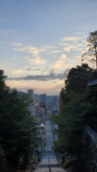 프로필 사진
