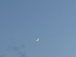 프로필 사진