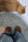 프로필 사진