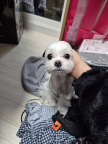 프로필 사진