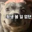 프로필 사진