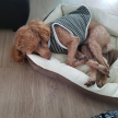 프로필 사진