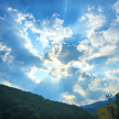 프로필 사진