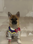 프로필 사진