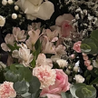 프로필 사진