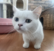 프로필 사진