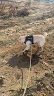 프로필 사진