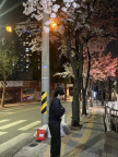 프로필 사진