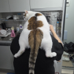 프로필 사진