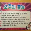 프로필 사진