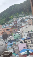 프로필 사진
