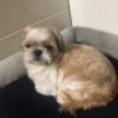 프로필 사진