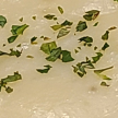 https://thecheat.co.kr/fs_sbl/member/2025/03/30/1f6e5b582a9031a6041706028a3f9298.png