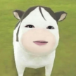 https://thecheat.co.kr/fs_sbl/member/2025/04/01/dcc848dcfe4250e2ad86963c56572ee9.png
