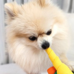 https://thecheat.co.kr/fs_sbl/member/2025/04/03/042473ef091ab5cff9ca46f75a62f9b9.png