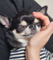 프로필 사진