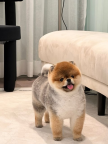 https://thecheat.co.kr/fs_sbl/member/2025/04/06/a30a8e252de3873b2bb3437a3a76d009.png