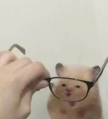 프로필 사진