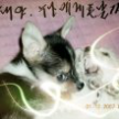 프로필 사진