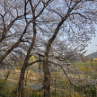 프로필 사진