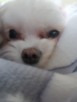 프로필 사진