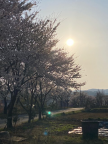 프로필 사진