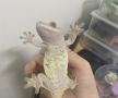 프로필 사진