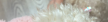 https://thecheat.co.kr/fs_sbl/member/2025/04/17/5f243bf0f85541916b8fe260b0451a09.png