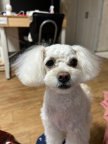 프로필 사진