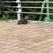 프로필 사진