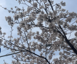 프로필 사진
