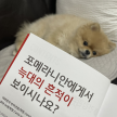 프로필 사진