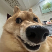프로필 사진
