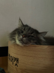 프로필 사진