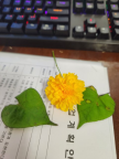 프로필 사진