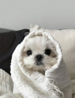 프로필 사진