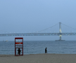 프로필 사진