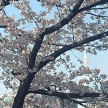 프로필 사진