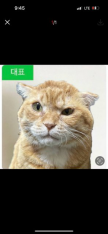 프로필 사진