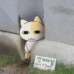 프로필 사진