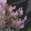 프로필 사진